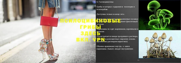 тгк Дмитриев