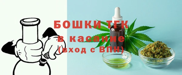 ГАЛЛЮЦИНОГЕННЫЕ ГРИБЫ Аркадак