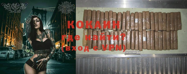 тгк Дмитриев
