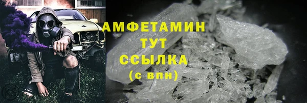 ГАЛЛЮЦИНОГЕННЫЕ ГРИБЫ Аркадак